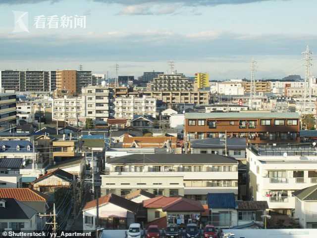 老人交性视频播放