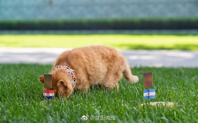 極限露出挑戰