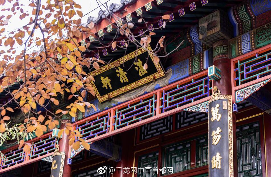 欧美黑人粗大