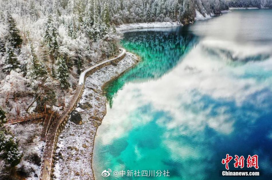 香蕉久久a毛片