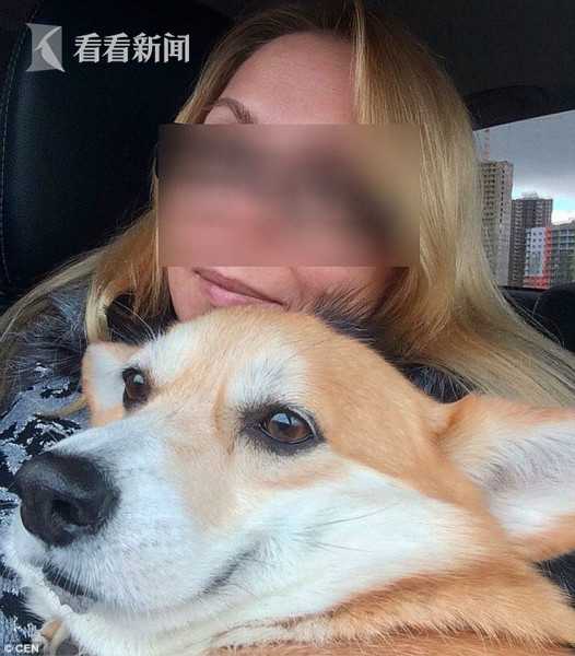 一区二区免费看
