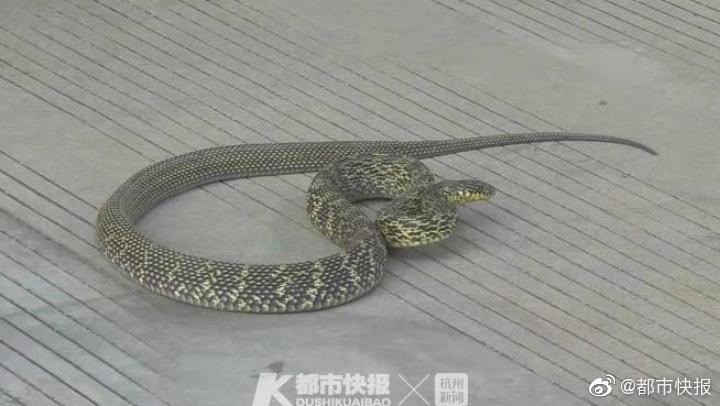 免费看女生隐私部位的软件