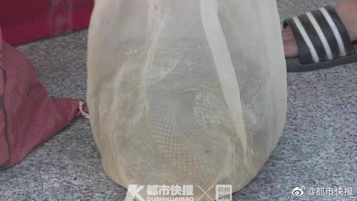 天海心