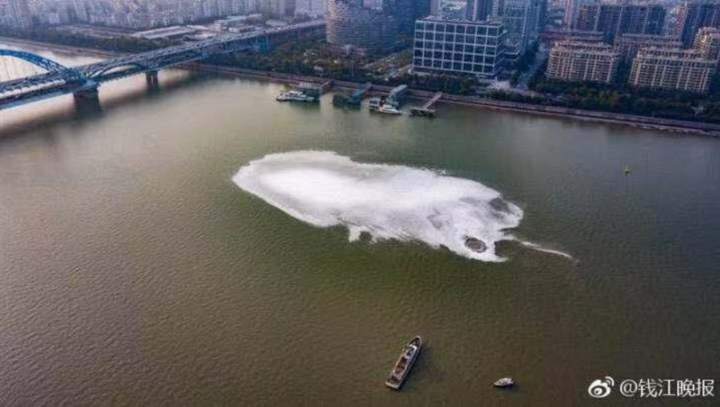 猪肚鸡用什么鸡好吃