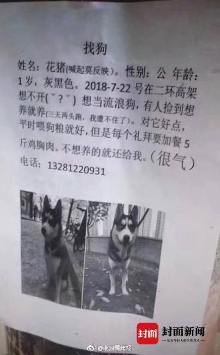 黑人系列