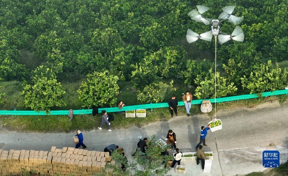 四级黄色网站