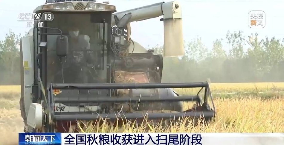 国产另类Z0Z  XHD
