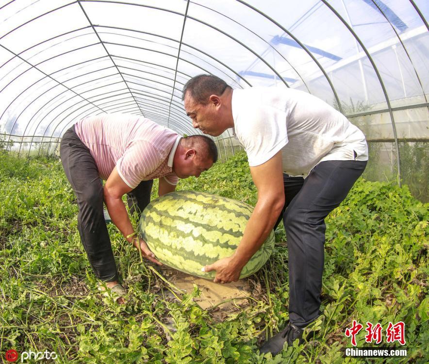 滬媒：上海曾用閆鵬飛+李添榮+現金報價周琦 新疆想要王哲林