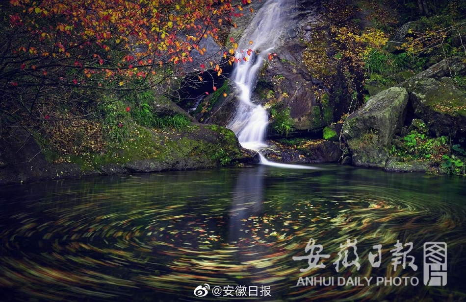 爱情网aqdy改成什么了