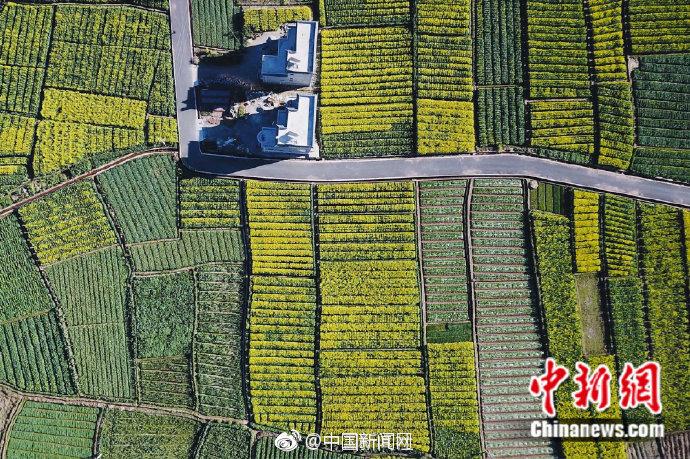 阳谷狮子楼旅游区门票