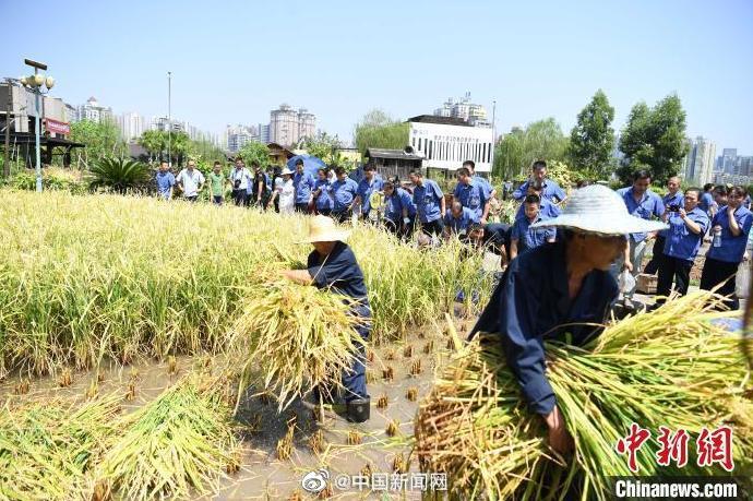 爱爱刺激视频网站