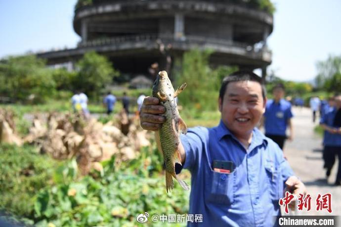 老司机精品