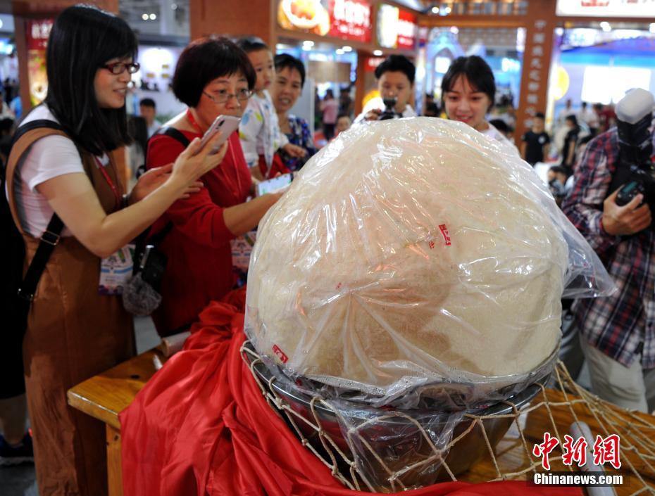 女女互摸色情片