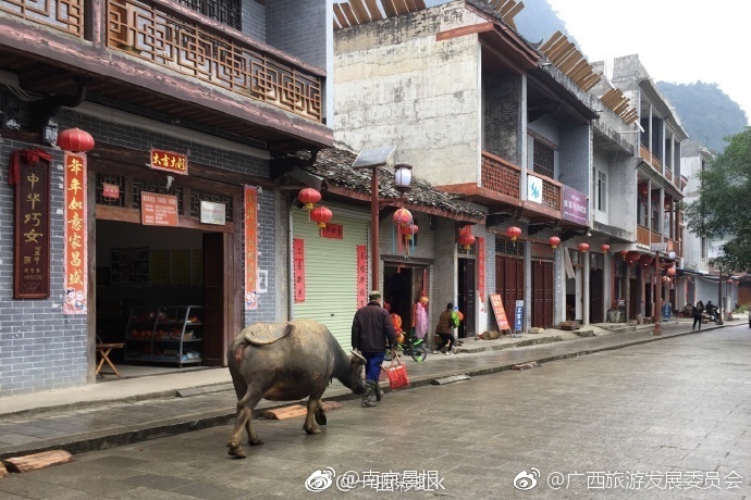 AI鞠婧祎裸被 高清网站