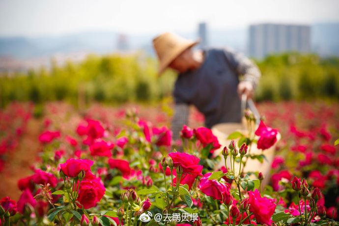 泰国人妖性爱视频网站