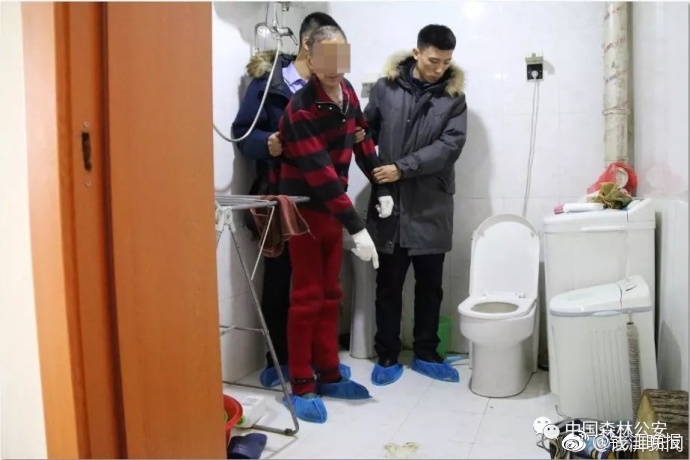 把 伸进申鹤的 www游戏