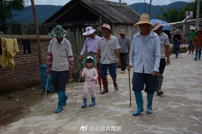 成人A片