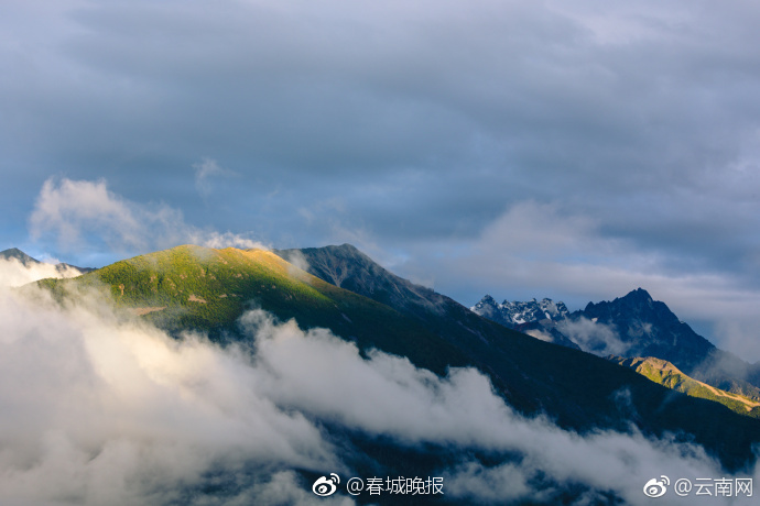 黑人一级黄色片