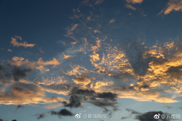 那家网络播放夫淒特别黄色性生活片