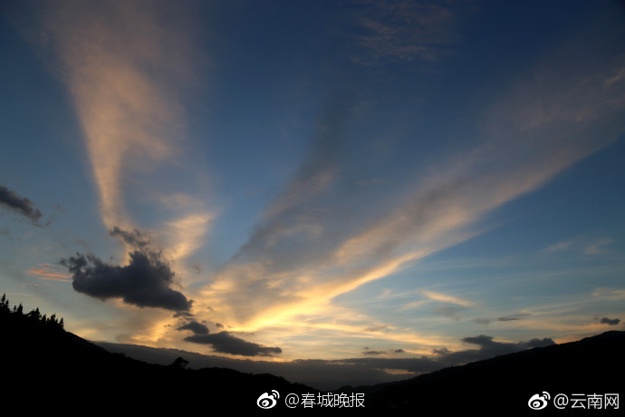 免费黄片视频