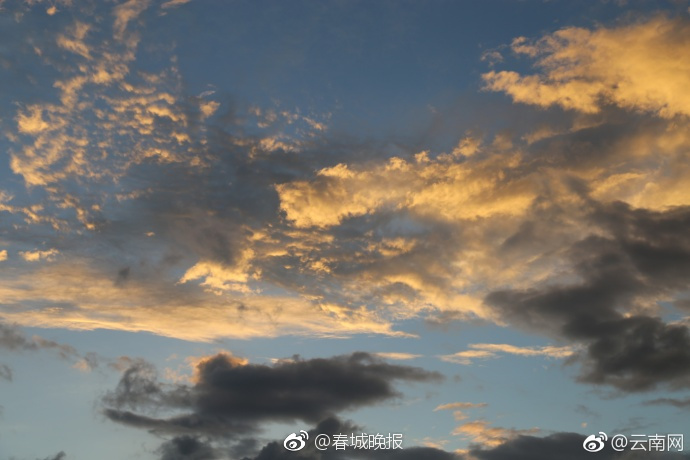 夏木安梨