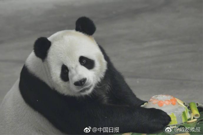 膣内