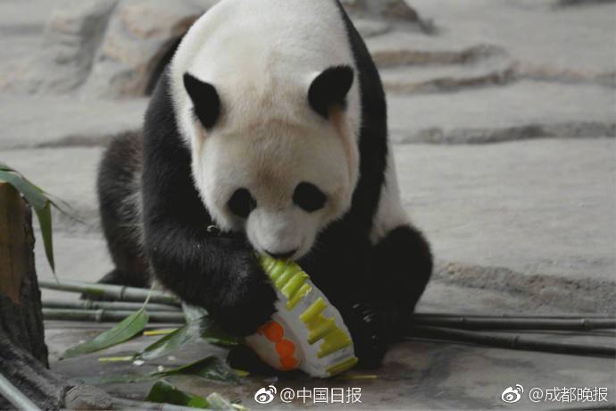 乱大交??