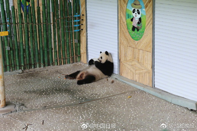 中国产    HD