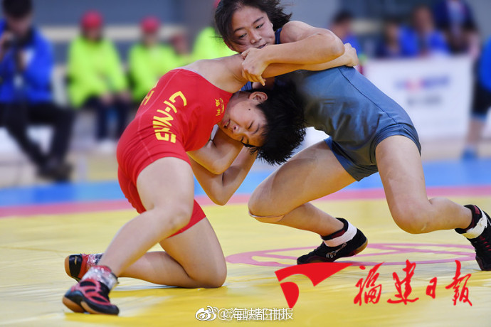 草莓丝瓜芭乐绿巨人樱桃秋葵粉色2023