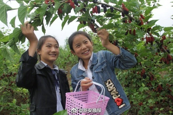 欧美一级欧美三级