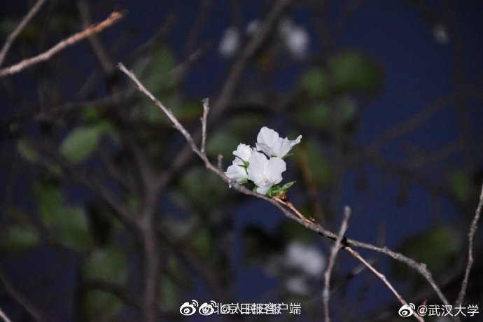 偷偷操女人的逼