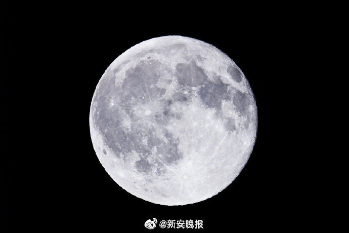 大肥女人操逼毛片