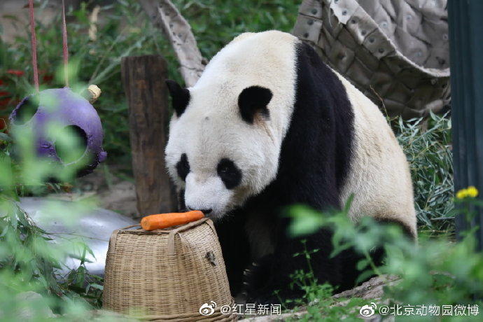 视频缓存在哪里