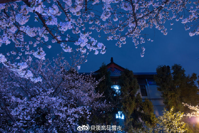 A级黄色电影