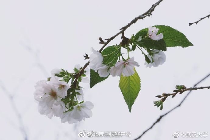 重囗味的老女人乱老V