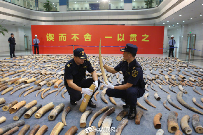 免费 观看 色情 片