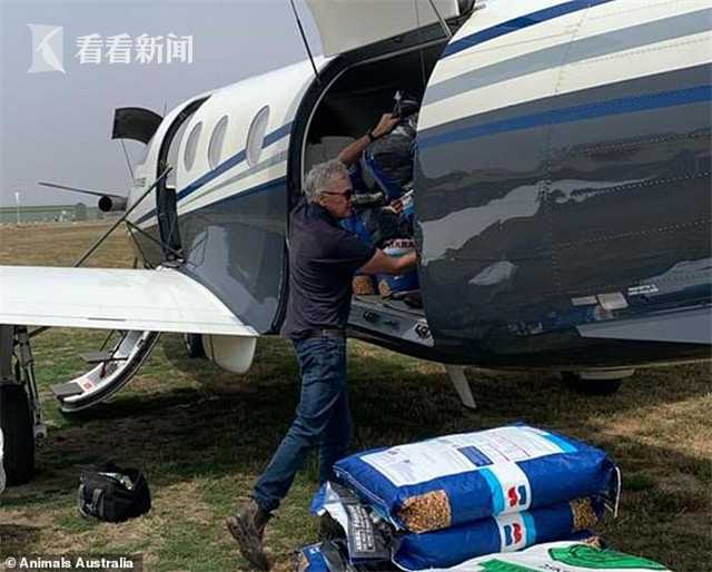 爱爱网