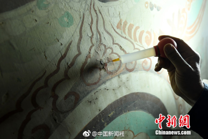 裸体美女视频免费软件