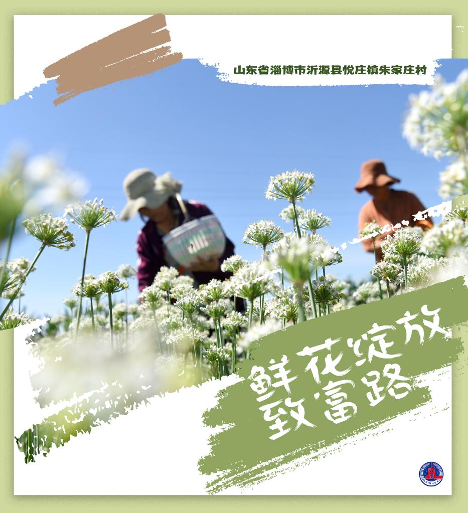 国产美女作爱全过程免费视频