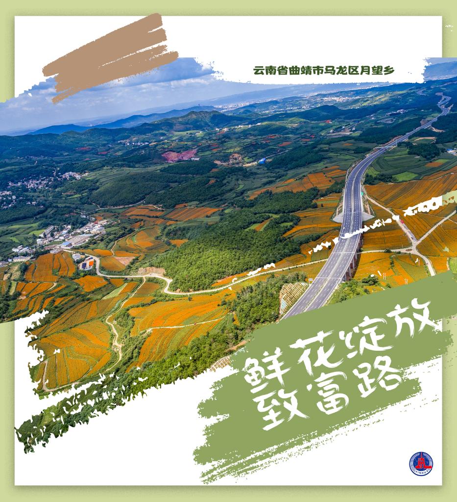 色情 网站 在线 观看