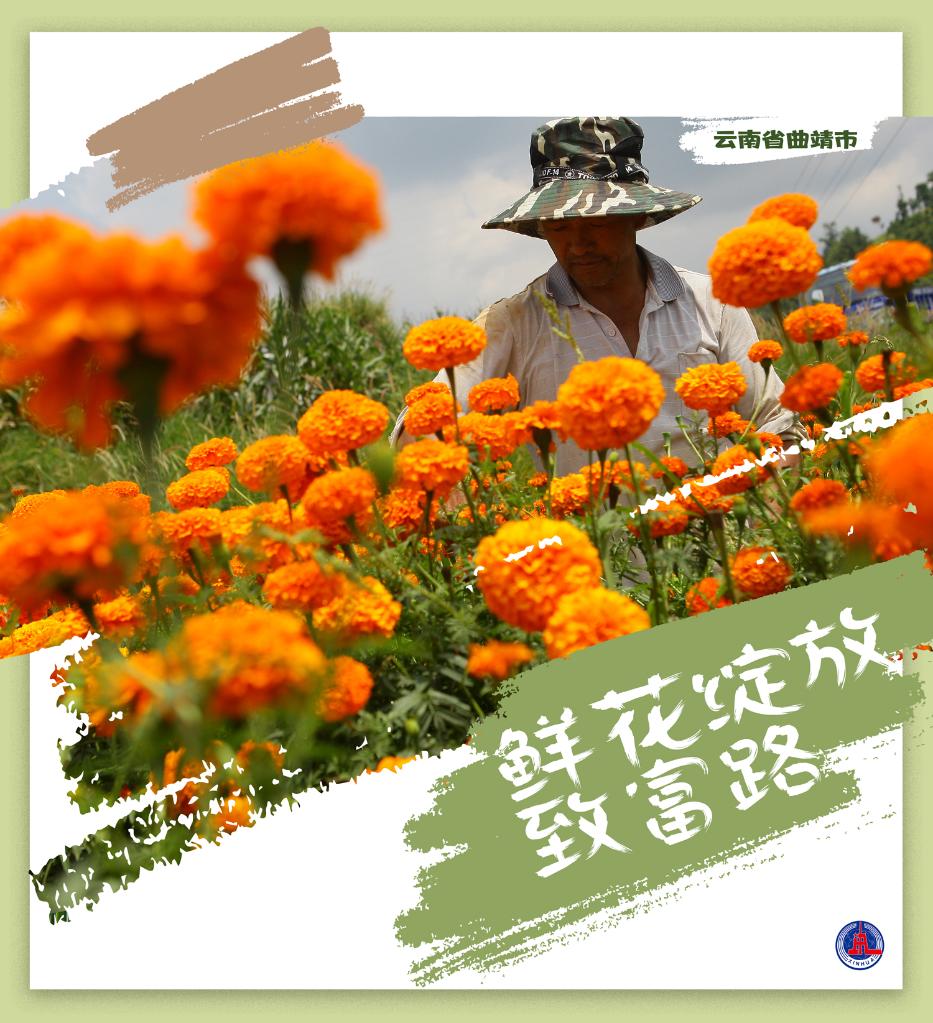 名器之子