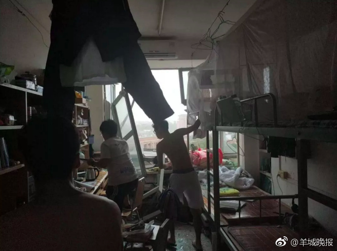 97精品视频