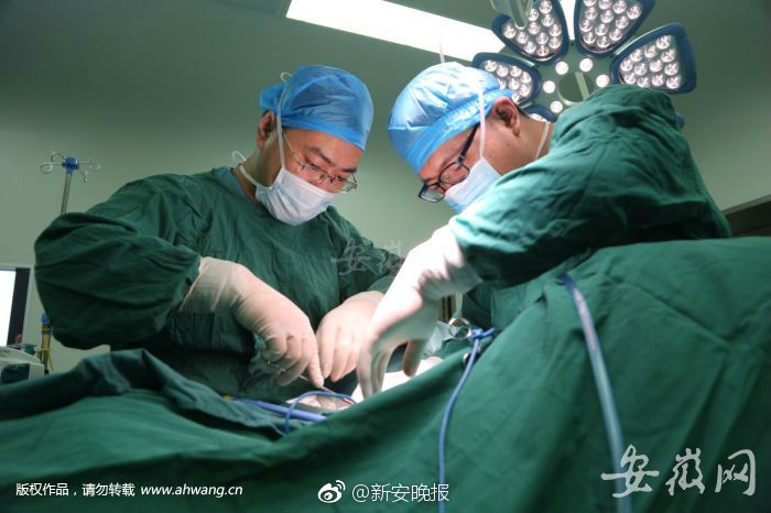 四川丰满少妇一级毛片