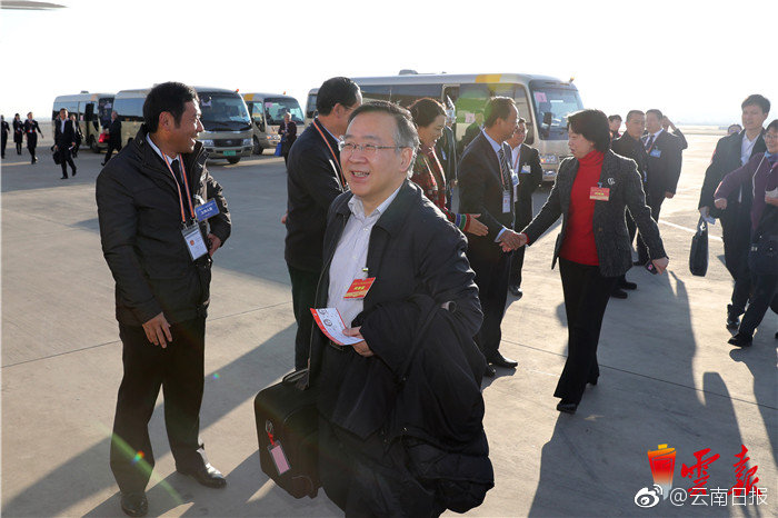 洪晓芸