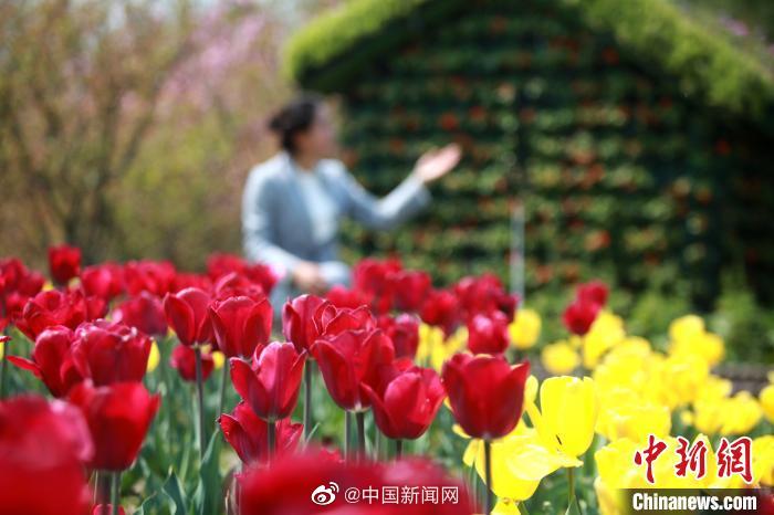 稻場流花
