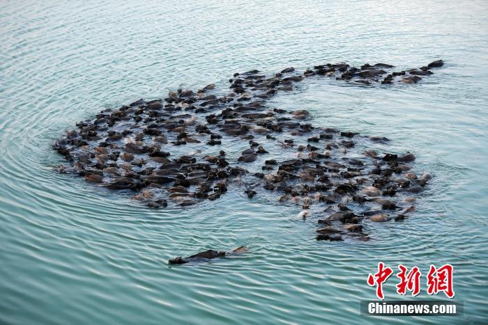 日本成熟丰滿熟妇Xxxxⅹ