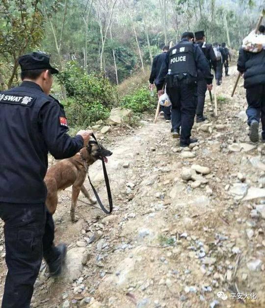 高清无码在线片