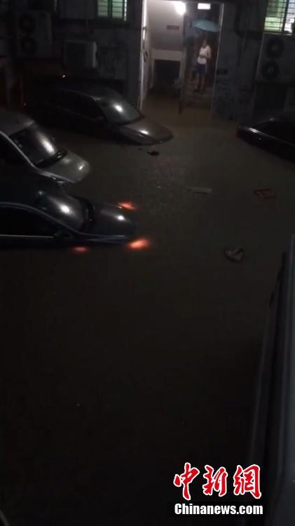 成人短片線上看