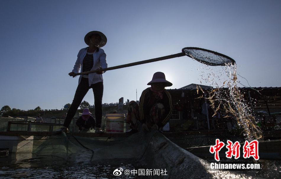 成人A片