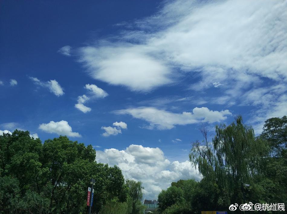 动漫 大胸 动漫看